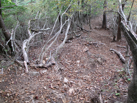 20171012hike (219)